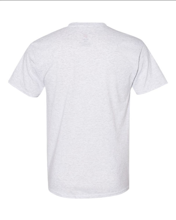 Hanes 5170 5XL EcoSmart Crewneck Short Sleeve Tee Unisex Pit to Pit 31" Ash gallery