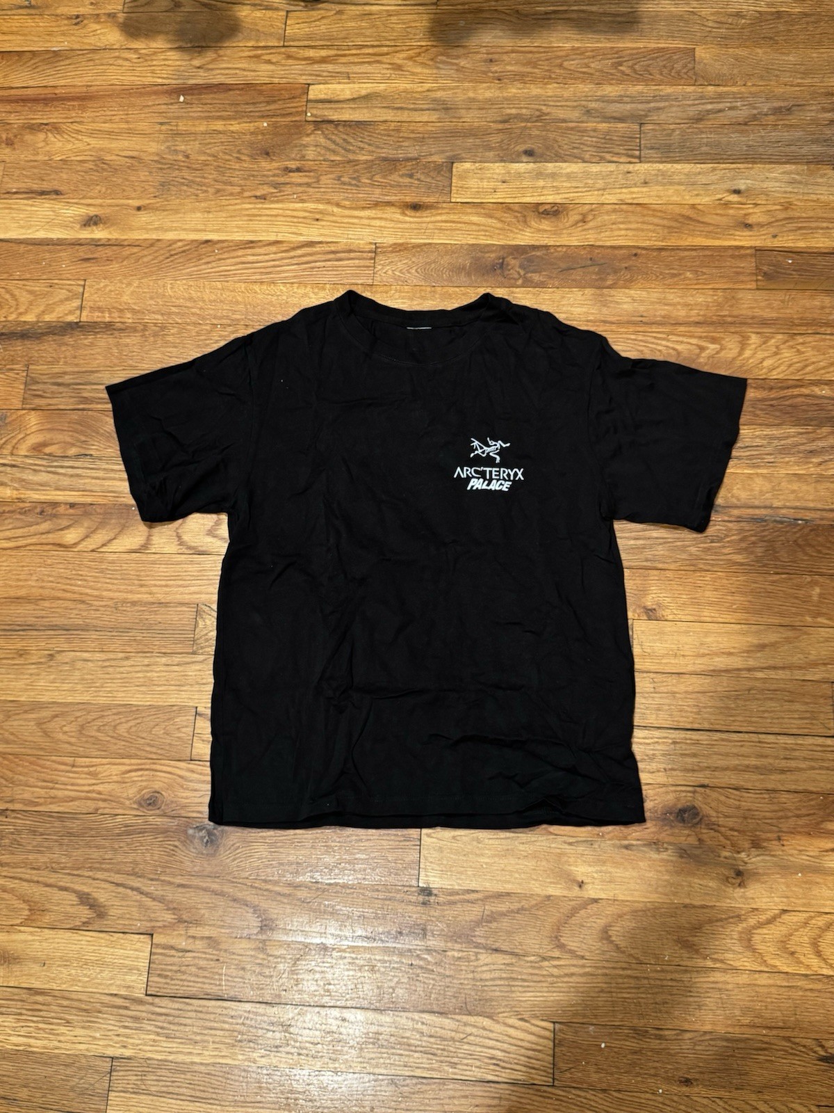 Arc'teryx x Palace Skateboards Black T-Shirt Size M Gorpcore gallery