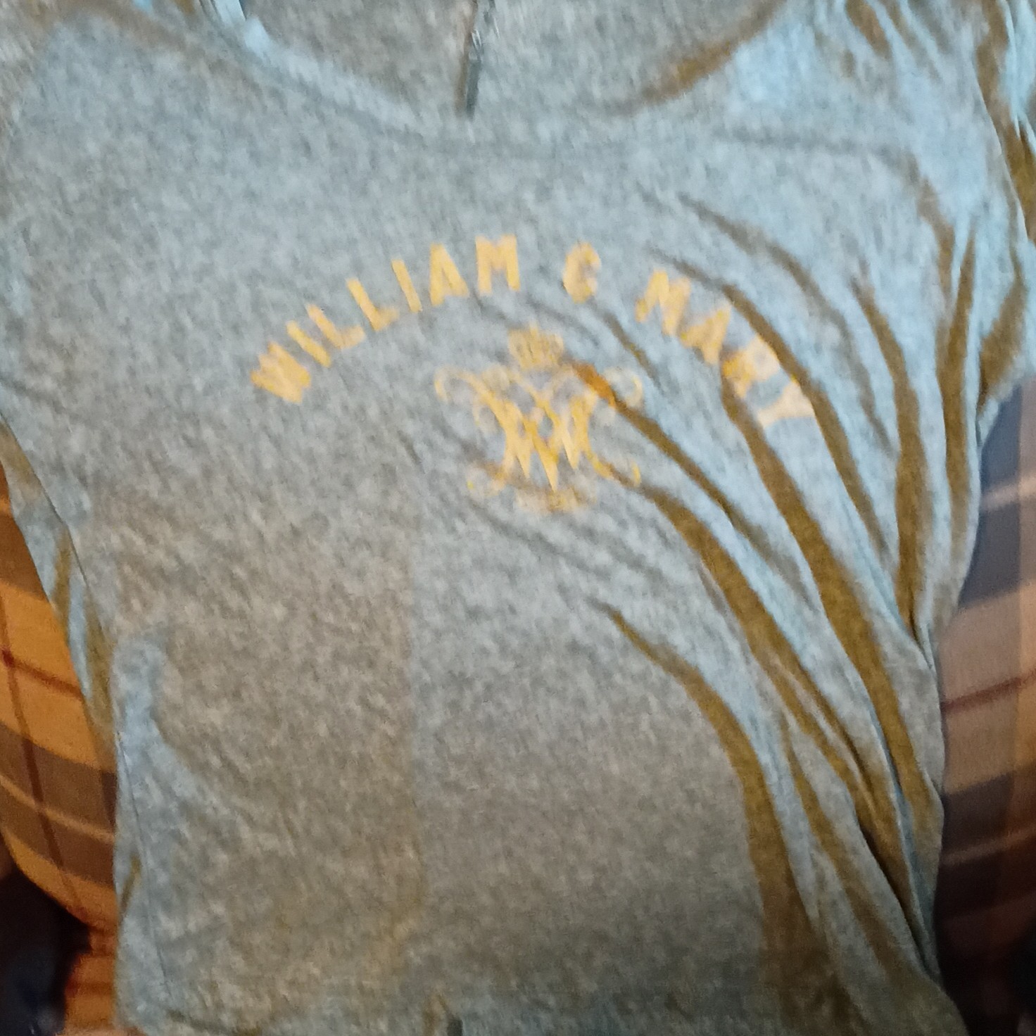 William & Mary Men’s XL Gray College Graphic Logo Crew Neck Cotton T-Shirt