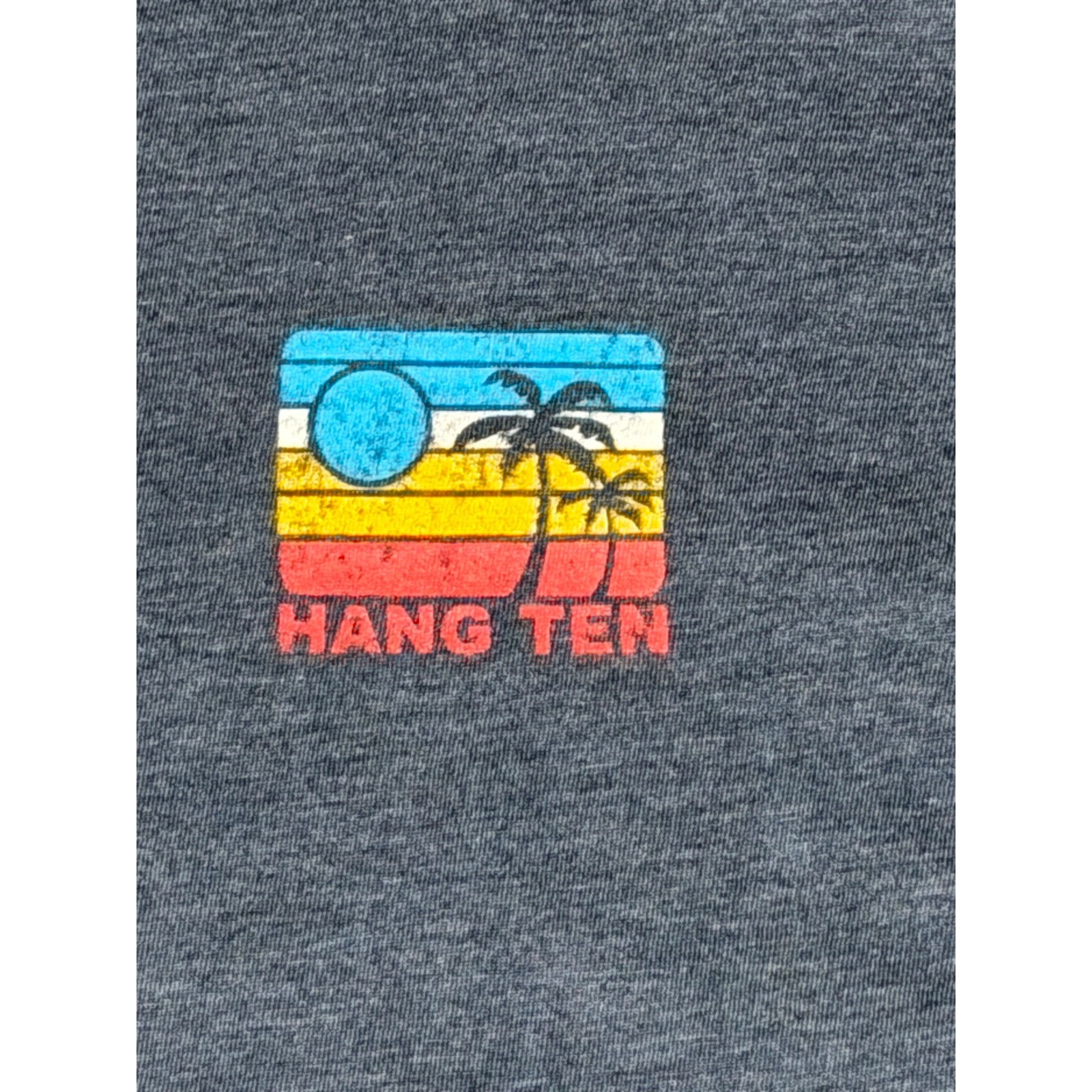 Hang Ten Mens Large Blue Heather Retro Sunset Palm Tree Graphic T-Shirt Surf Tee gallery