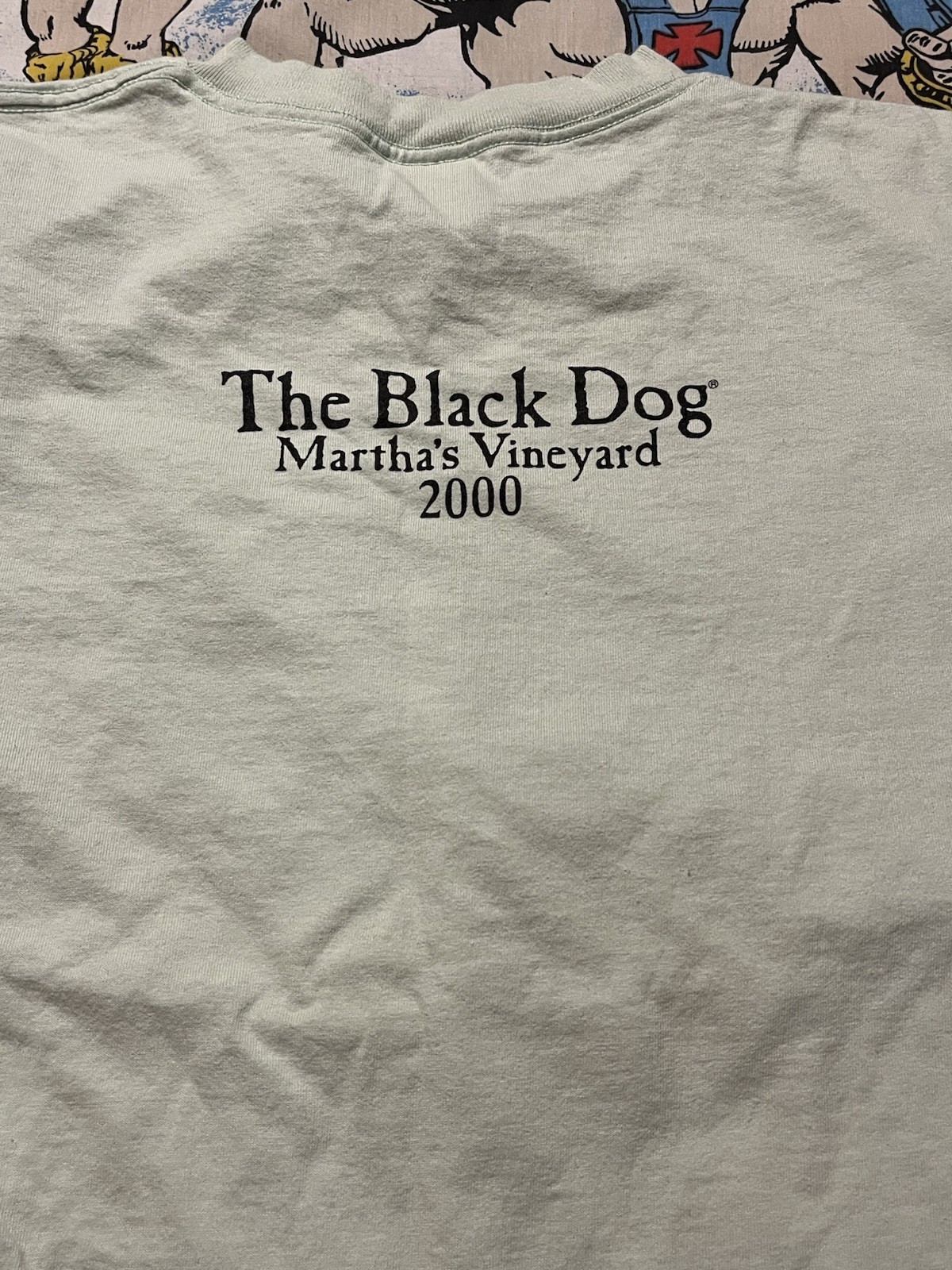 Vintage Martha's Vineyard The Black Dog 1995 T-shirt Size M Mint Green BEACH VTG gallery