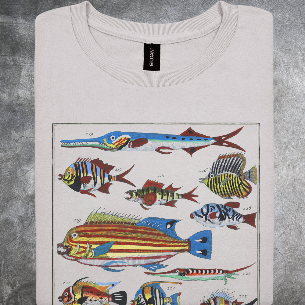 Tropical Fish Shirt Ocean Species Artwork Tshirt Cotton Crewneck Gray gallery