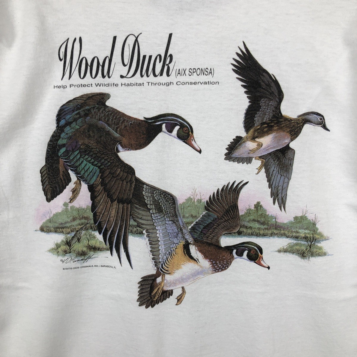 Used 90'S-00'S Hanes HEAVYWEIGHT 50/50 Bird Print Animal T-Shirt Men's XL eq... gallery