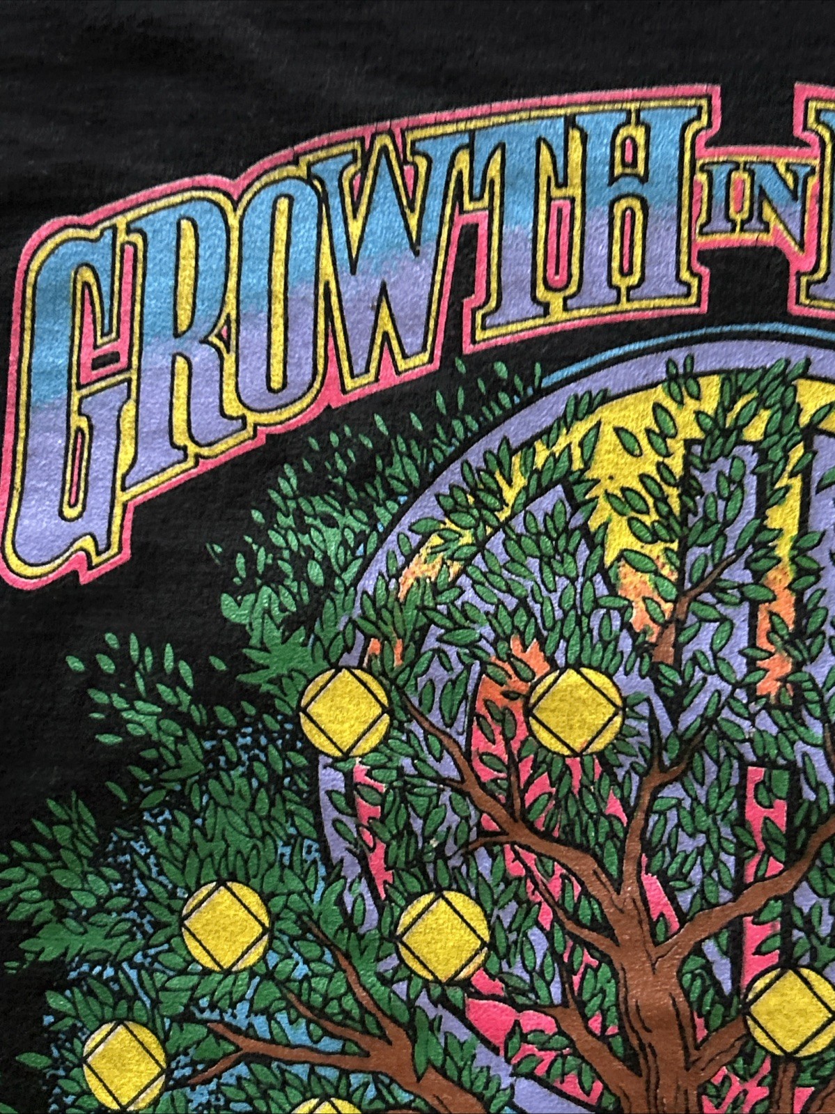 VTG~NA~Growth In Recovery~C.A.N.A.C.VII~ July -17,18,19, 1998 Laughlin, Nevada gallery