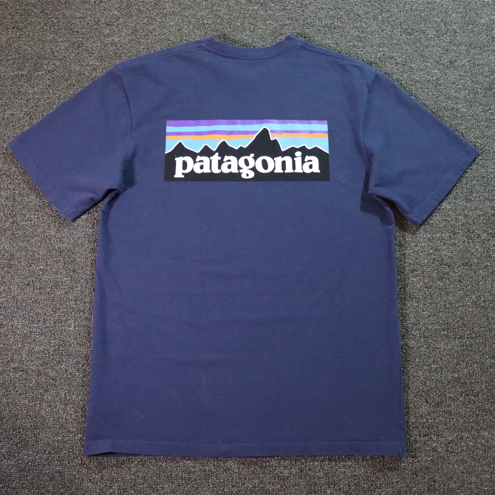 Patagonia Mens Small Blue T Shirt Responsibil-tee Outdoors Retro Hiking Mountain