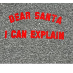 Kid Dangerous Dear Santa I Can Explain Graphic Tee Gray MEDIUM Funny Xmas Shirt