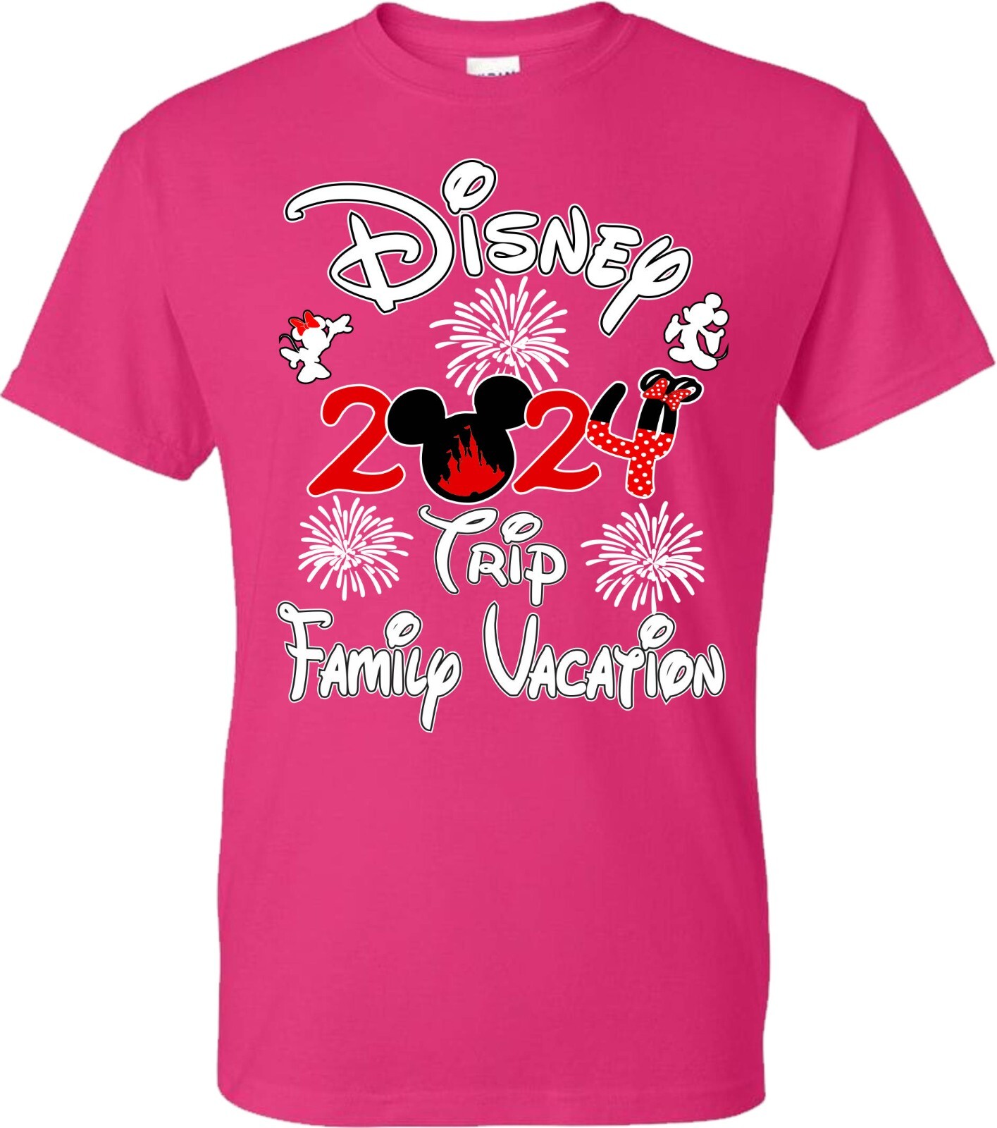 Disney Family Vacation 2024 fire works, Mickey, Minnie, Family Trip, Squad gallery