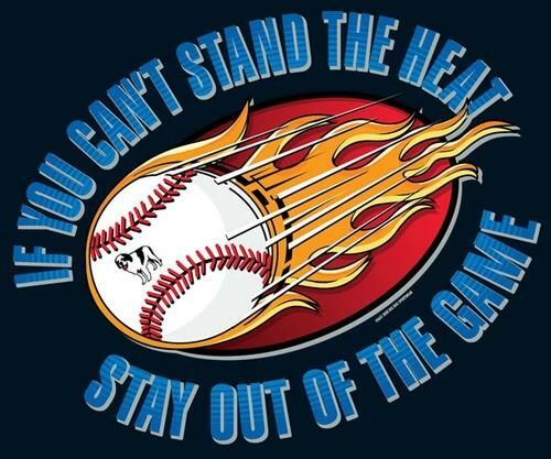 Flaming Baseball Can't Stand Heat Stay Out Big Dogs Navy T Shirt Large 2X 3X 4X gallery