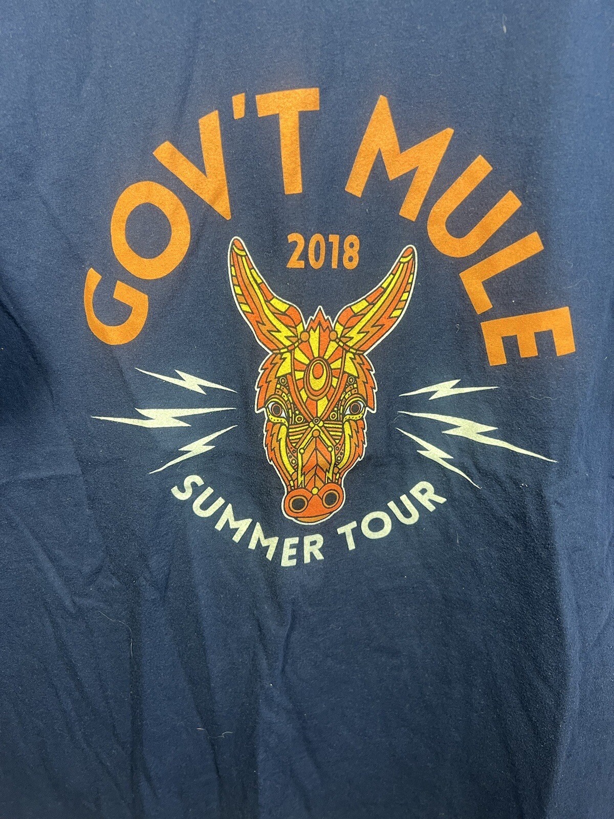 Government Mule 2018 Band Music Tour Shirt Blue T Shirt Size Large Canvas Tags gallery