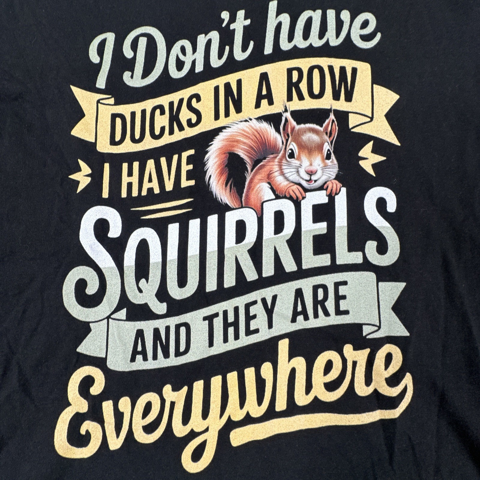 Port & Company Squirrels Everywhere Graphic T-Shirt Men's XL Black Funny gallery