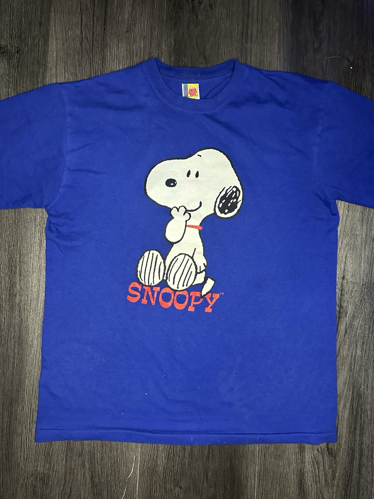 Blitzz Intl Vintage T Shirt Tee Peanuts Snoopy Blue Large