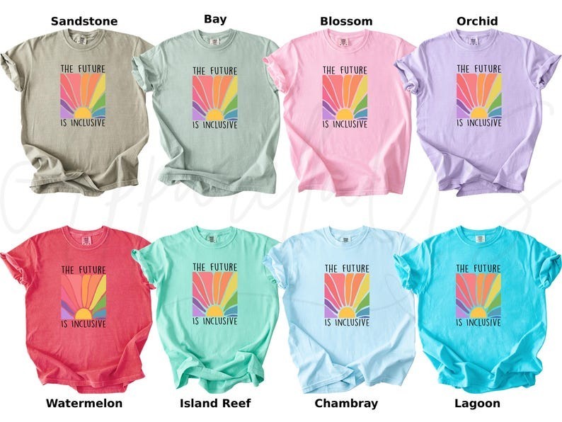 Comfort Colors The Future is Inclusive Shirt, Rainbow Shirt, Human Rights Shirt gallery
