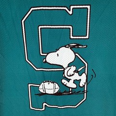 Peanuts Snoopy Jersey Mens Large Blue Shirt Football Mesh Distressed V-Neck