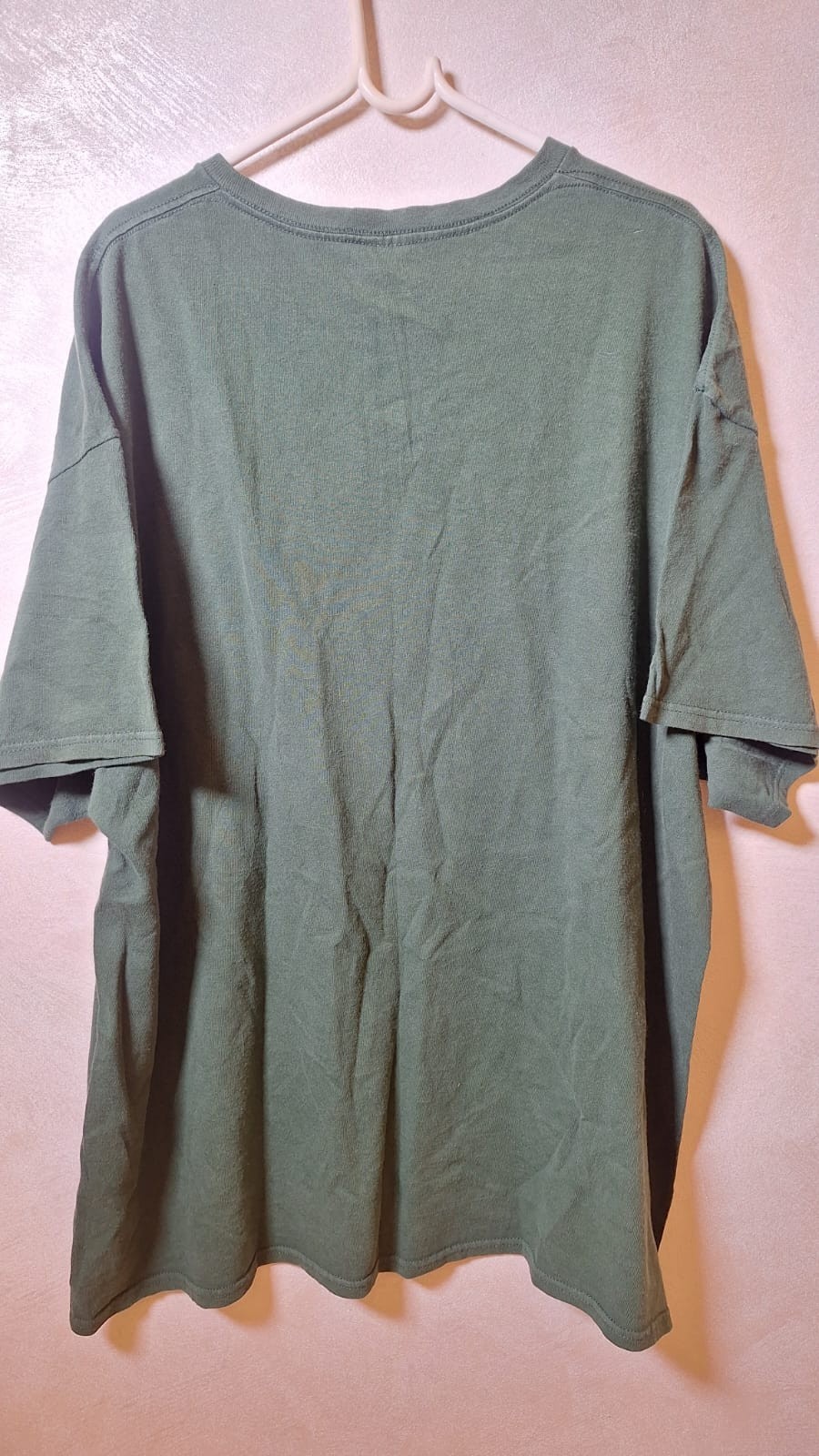 Vintage Delta Pro Weight "I Tried It At Home" Graphic T-Shirt Green Size 2XL gallery