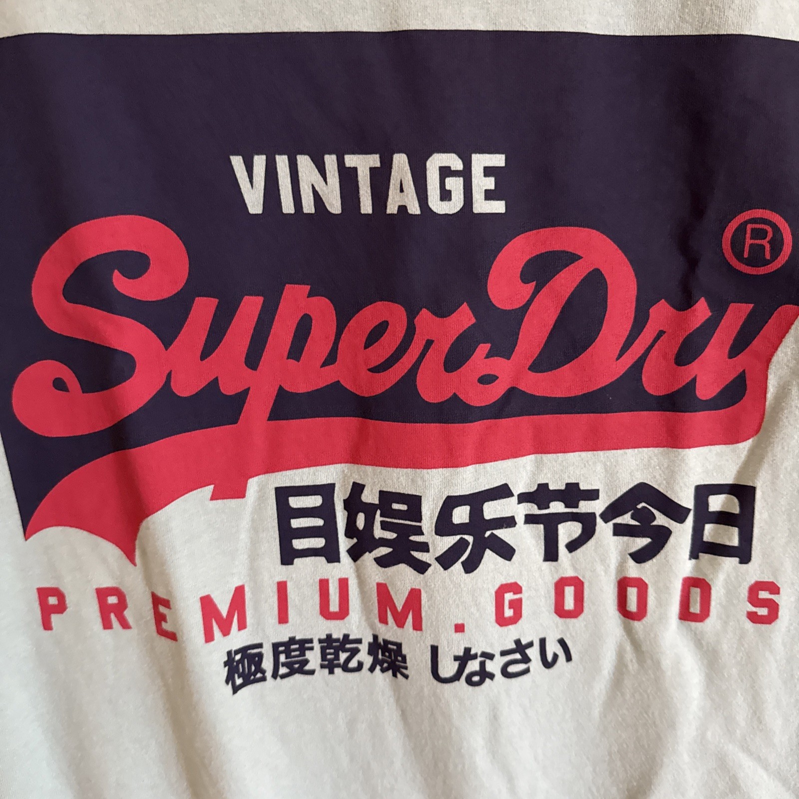 Vintage SUPERDRY Premium Goods Graphic T-Shirt Light Blue Men's Large gallery
