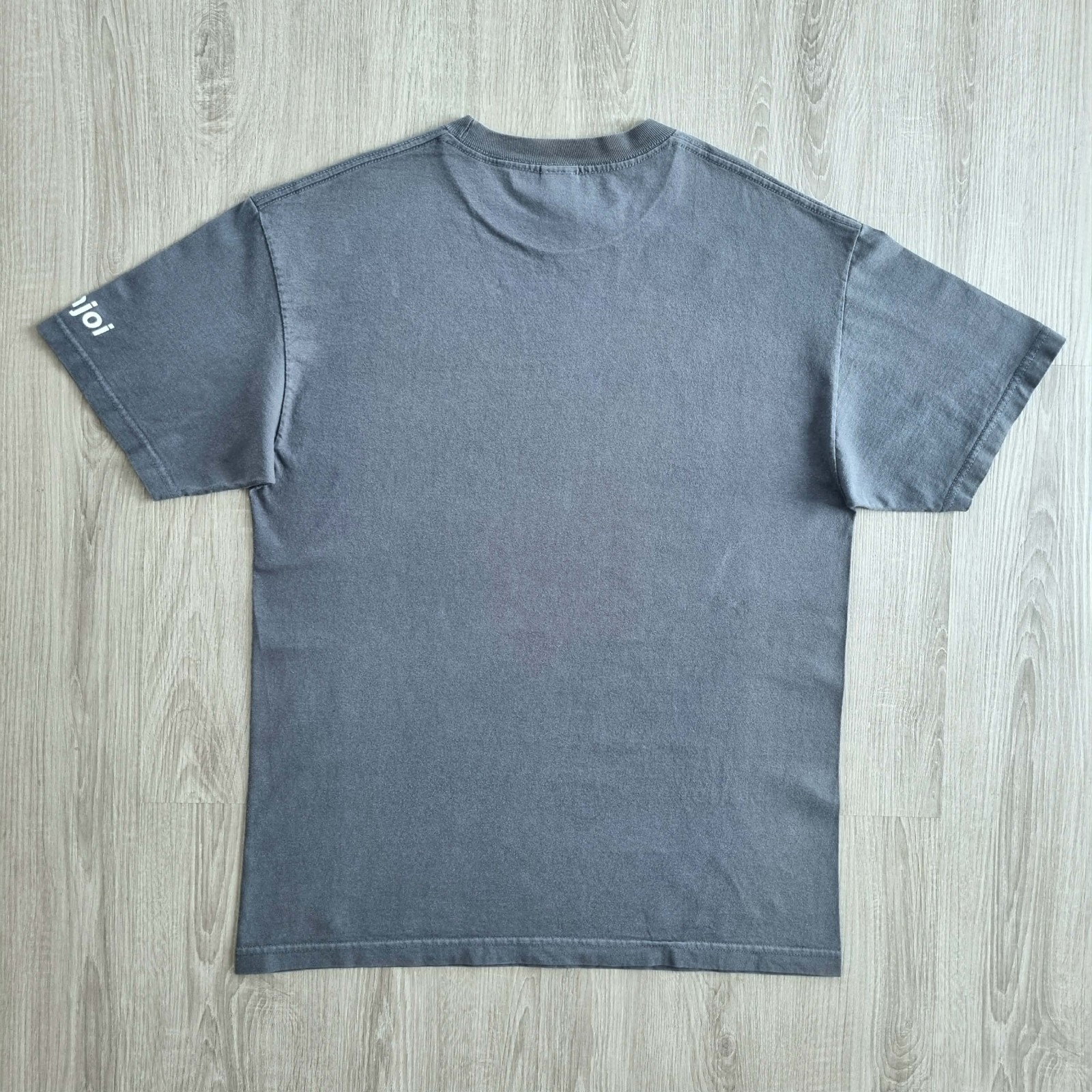 Vintage ENJOI Skateboards Shirt L Skate Big Panda Cartoon Almost Jacuzzi April gallery