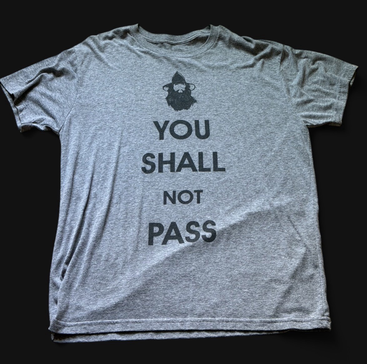 Lord of the Rings Gandalf “You Shall Not Pass” Gray Graphic T-Shirt L