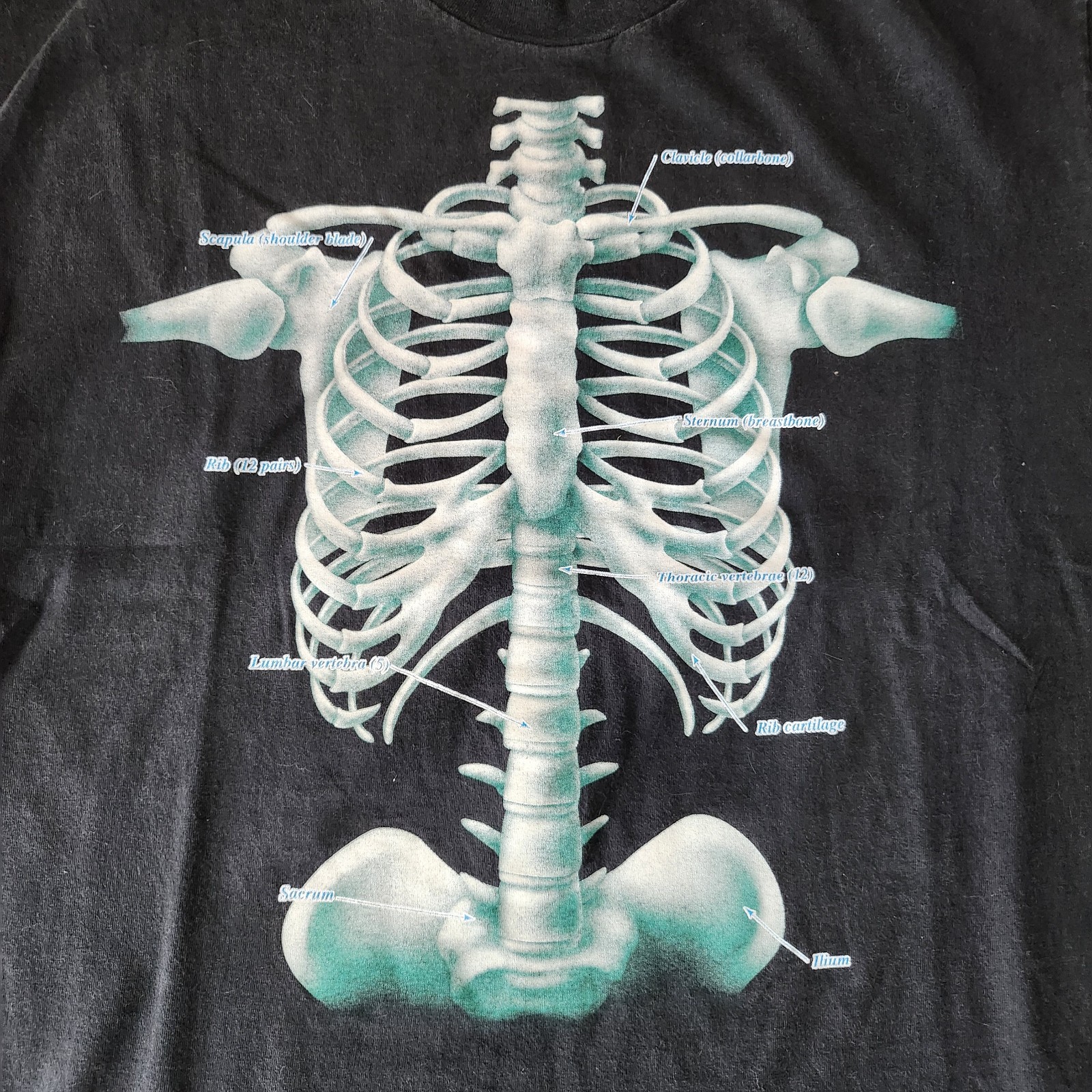 Vintage 90s Discovery Channel Skeleton Rib Cage Tshirt Size XL Black gallery