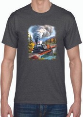 TRANSFER – TRAIN CROSSING – SPRING / WINTER