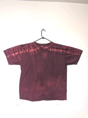 The Mountain Mens T-shirt Red Evolution Red Skull Dragon Retired Logo XL #5267
