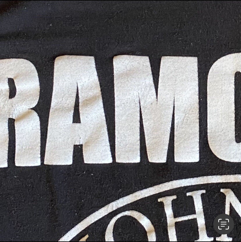 RAMONES Presidential Seal Logo Licensed Punk T-Shirt 2019. MEDIUM (NV) Preowned gallery