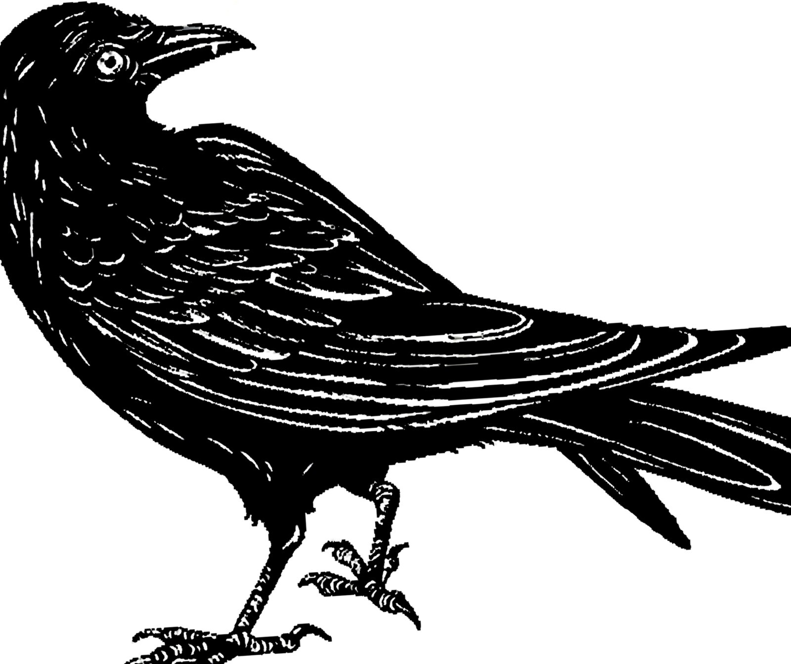 Crow Women's T-Shirt Hand Print Dual-Blend Tee Raven Shirt Eco Fashion Shirt gallery