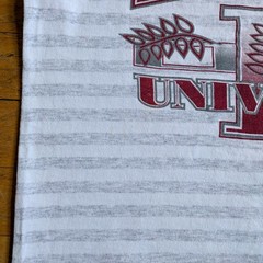 Vintage Harvard University Single Stitch T-Shirt Premier Sportswear USA Made