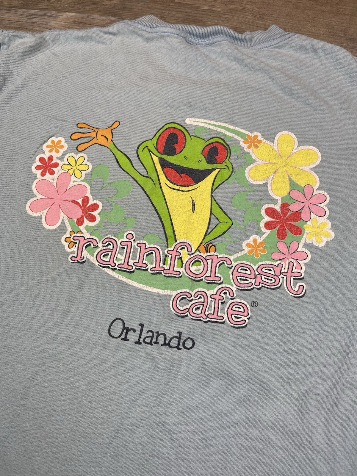 Rainforest Cafe Orlando T-Shirt 90’s Used Retro Grunge Look gallery