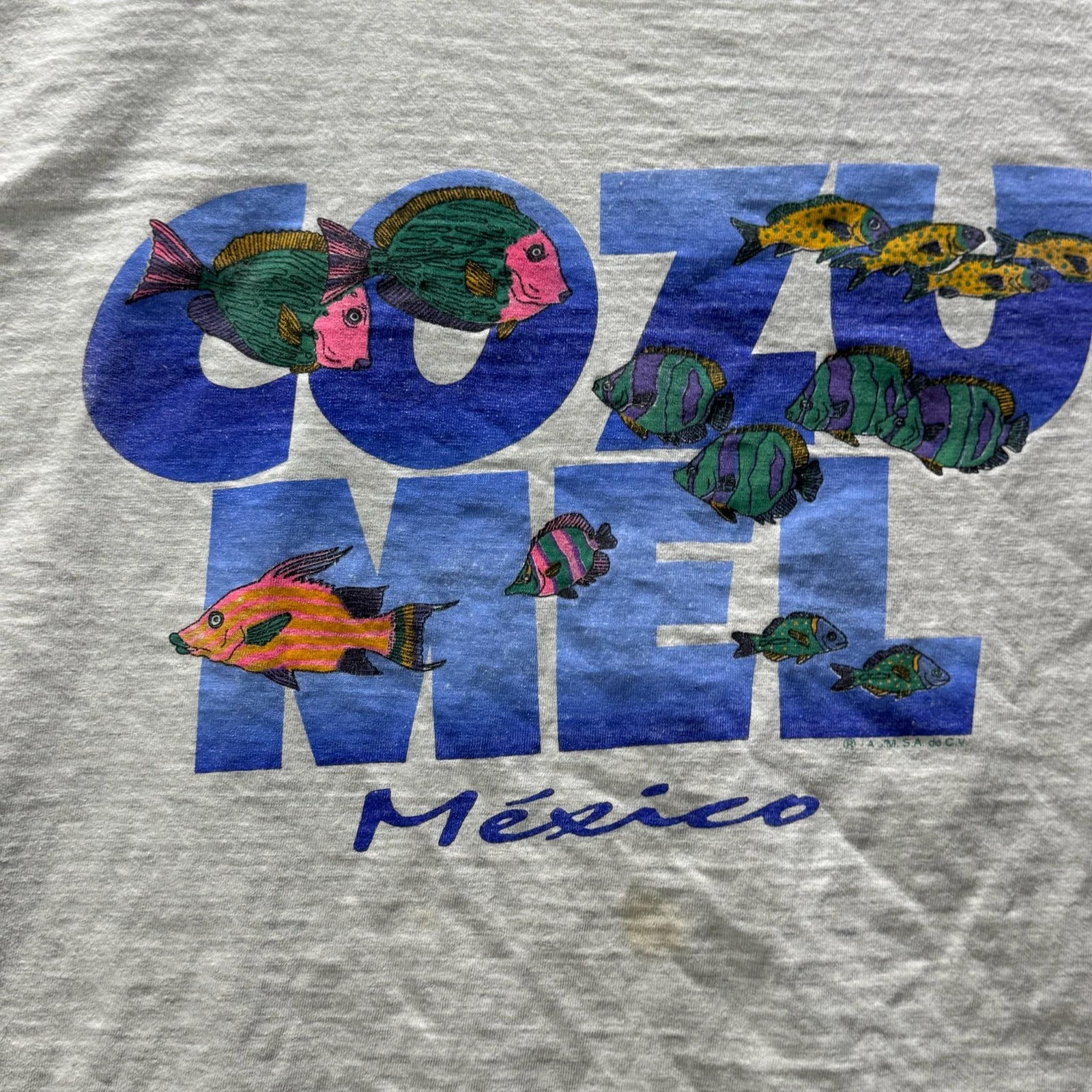 Vintage LOLAS Shirt Mens XL Gray Cozumel Mexico Fish Graphic Tee Crewneck Beach gallery
