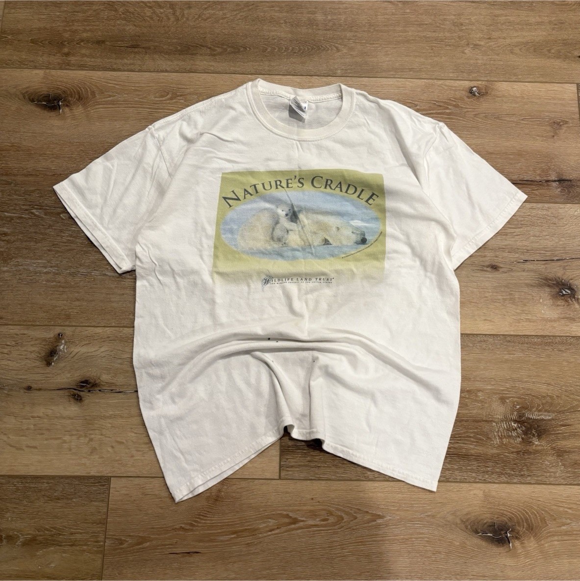 Gildan Heavy Cotton White Polar Bear Wildlife Graphic Crew Neck Men’s T-Shirt L