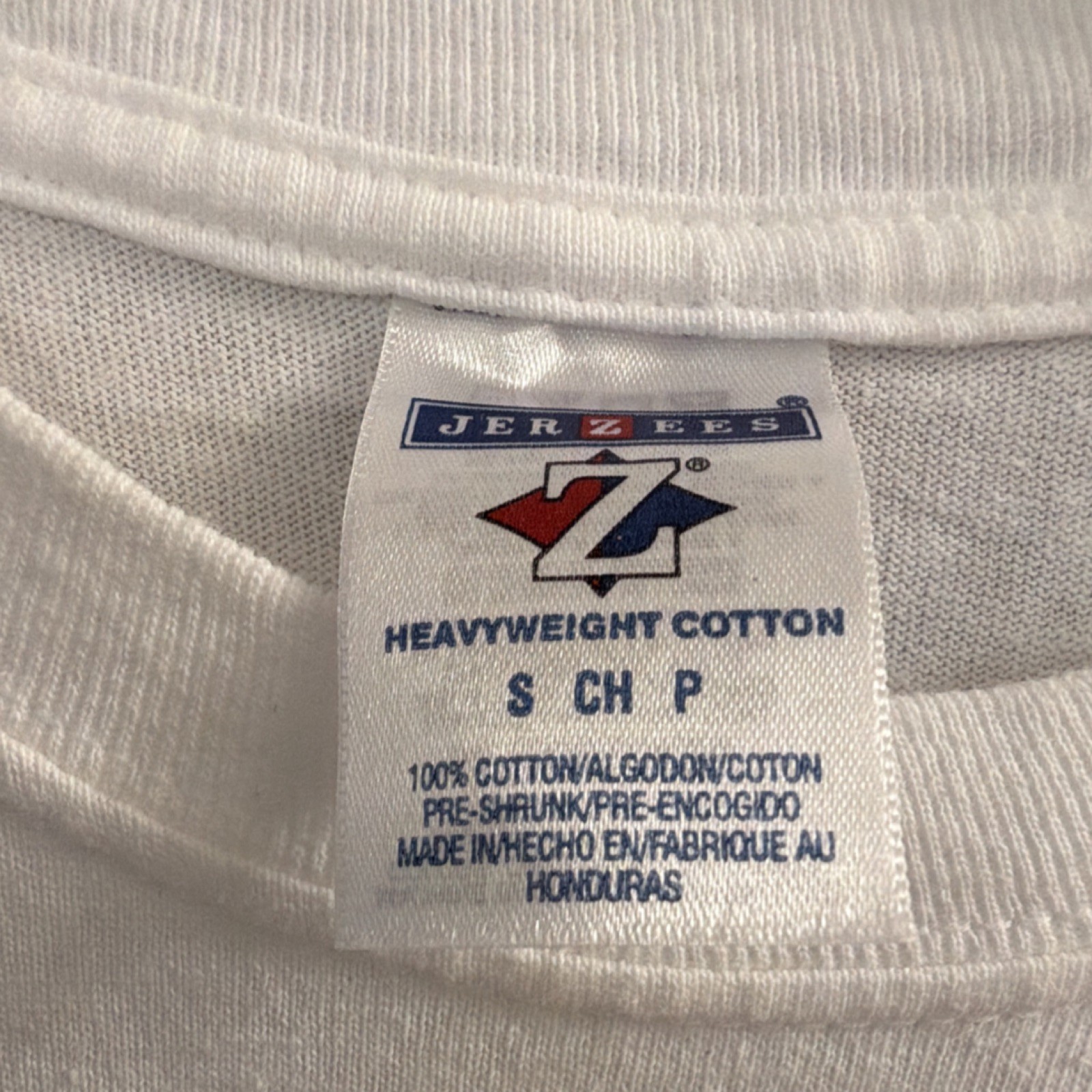 VTG 90s/00s 4-H Club T-shirt, Jerzees, Incubation & Embryology, EUC, Adult Sz SM gallery