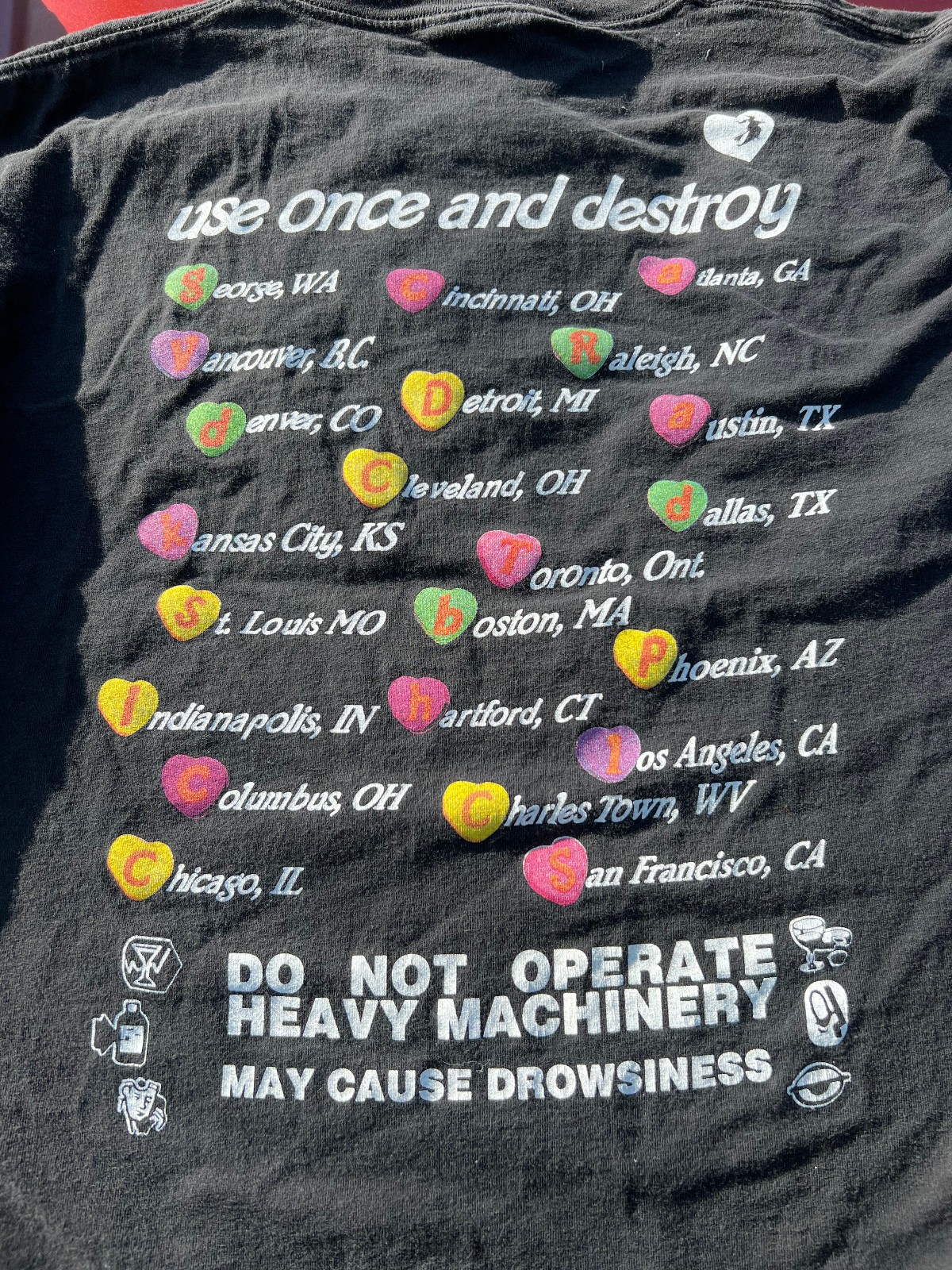 Vintage Hole Giant Tultex Shirt 1995 Preowned Courtney Love 1 owner XL rare tour gallery