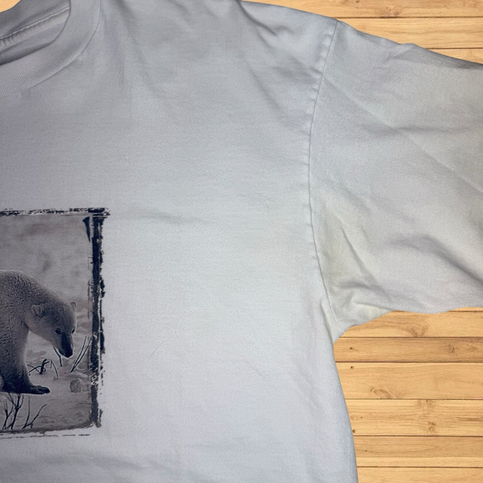 Vintage polar bear gap T Shirt Mens Bear Nature gallery