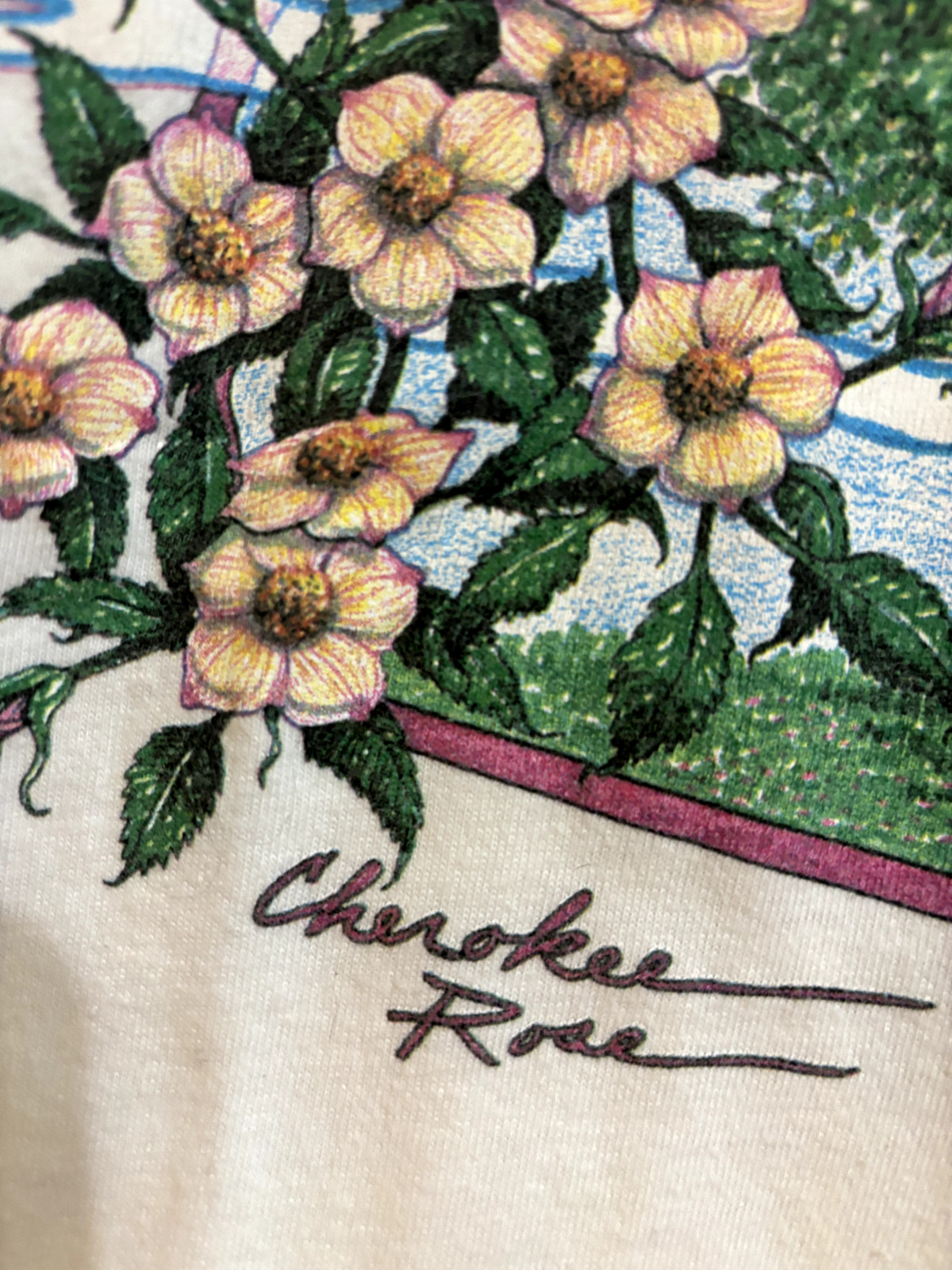 Vintage 1990 Georgia on My Mind Large Single Stitch T-Shirt USA gallery