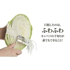 Iidaya Ever peeler replaceable blade type stainless (right-handed)