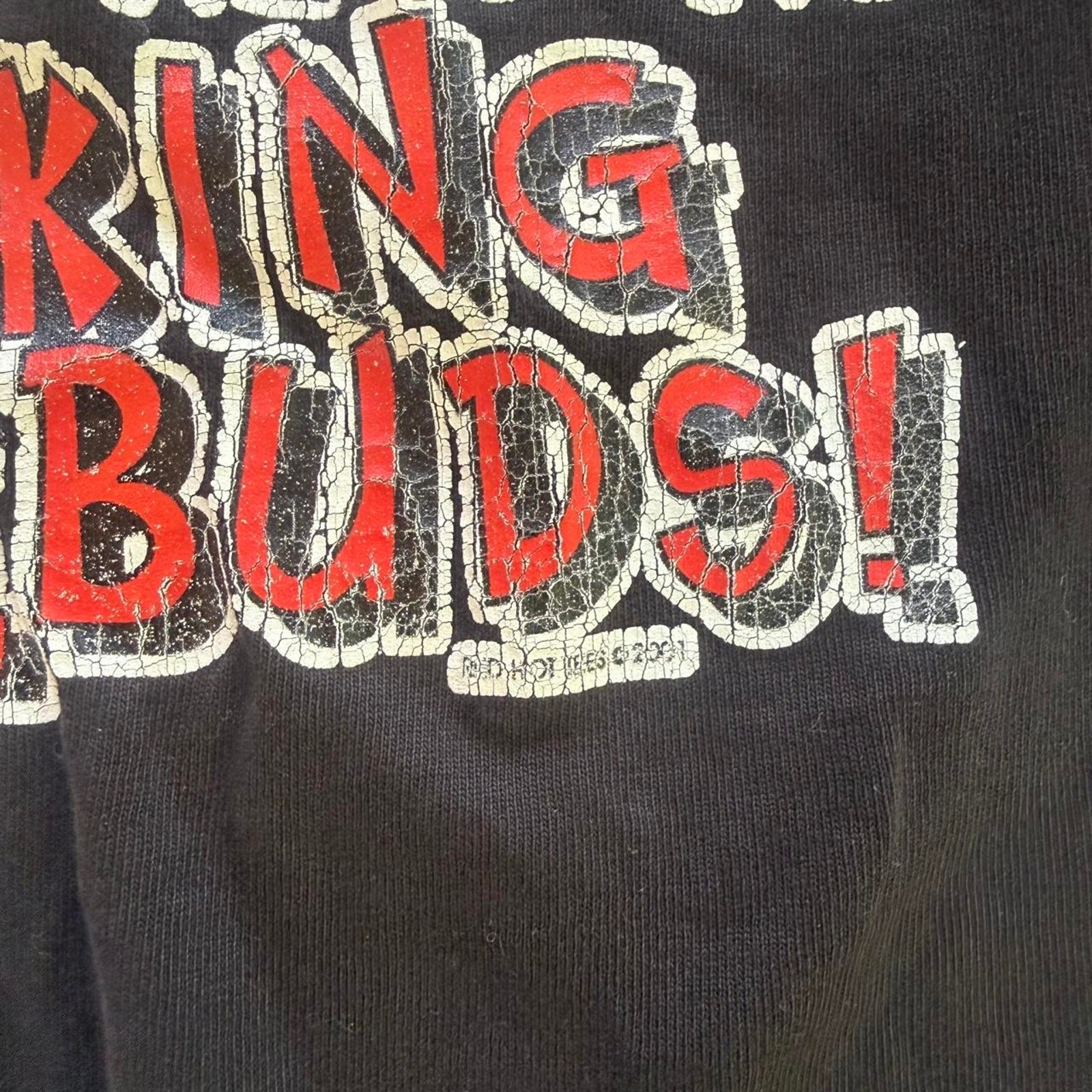Vintage 90’s 2000’s Faded Black Chili Pepper Retro Graphic Tee gallery