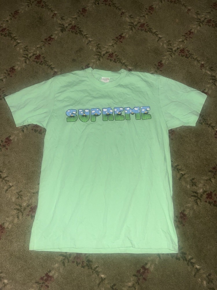 Supreme Mint This Is The Sh*t Tee Size Medium Men’s SS16 Shortsleeved Streetwear