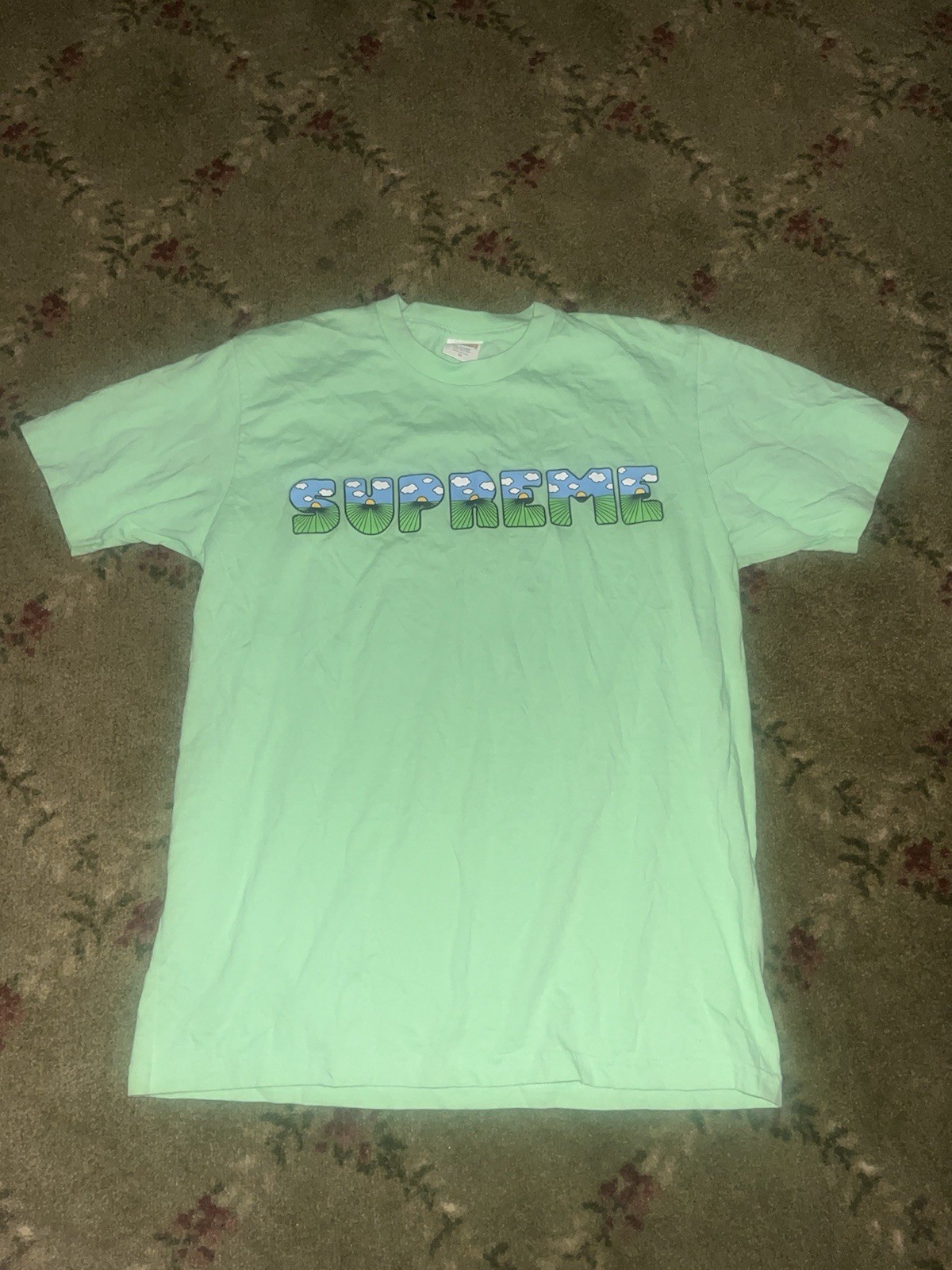 Supreme Mint This Is The Sh*t Tee Size Medium Men’s SS16 Shortsleeved Streetwear