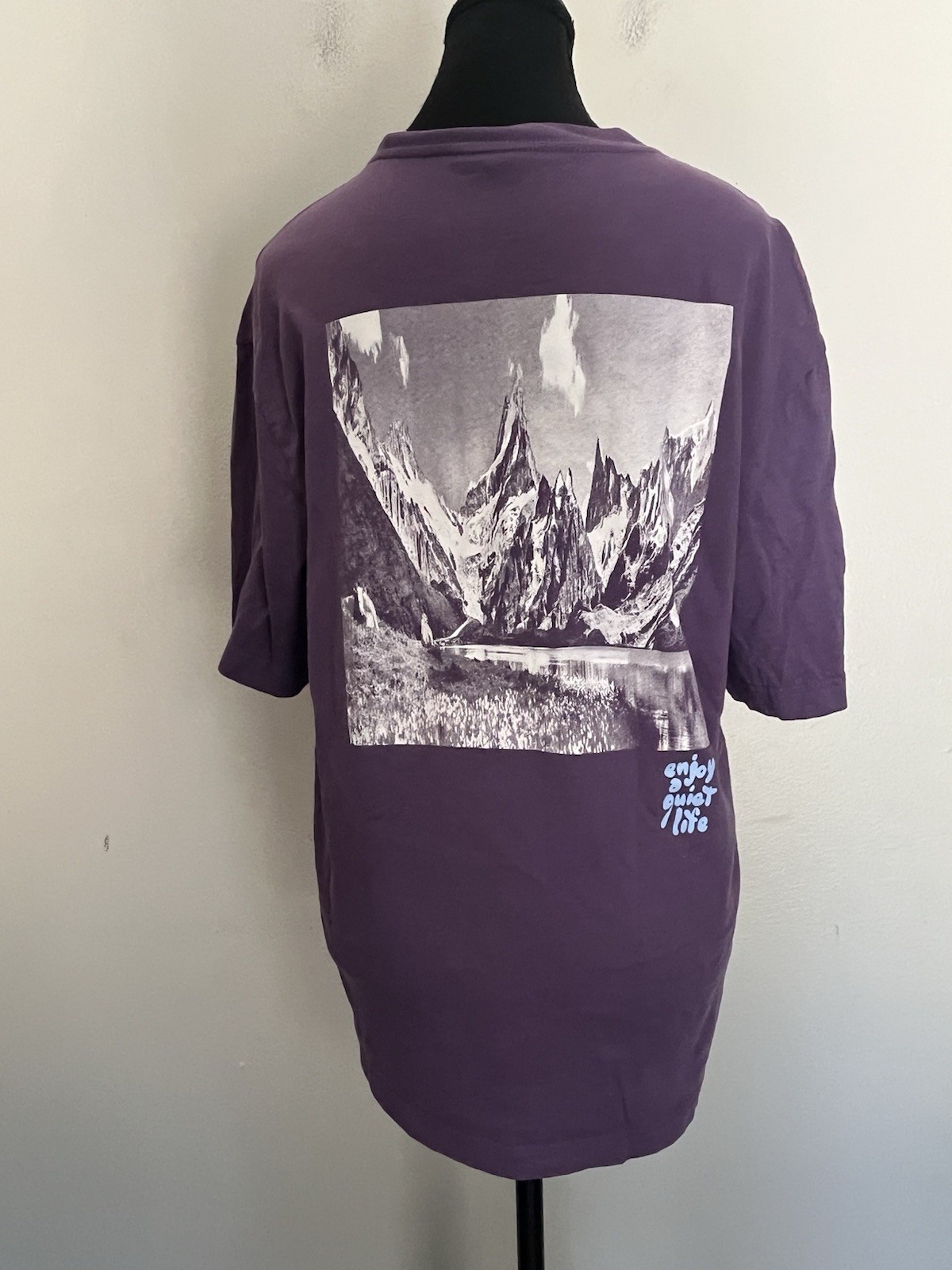 N2 HM Mountain Enjoy A Quiet Life Men’s Graphic T-Shirts Purple Size S gallery