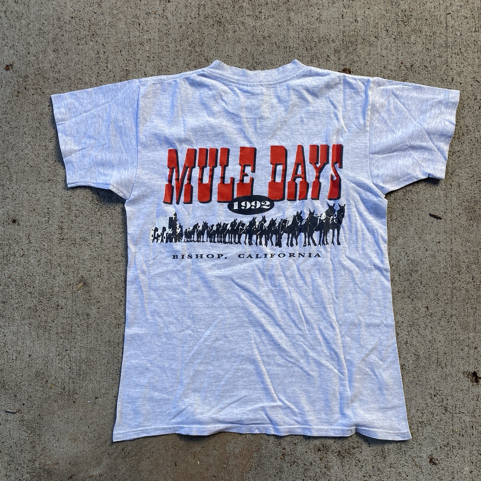 Vintage 90s MULE DAYS Tee Shirt Bishop Lone Pine Mt. Whitney Grey Medium gallery