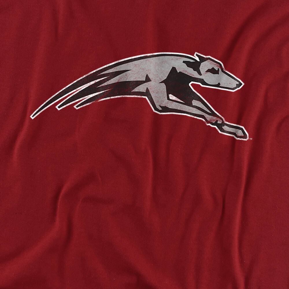 University of Indianapolis Adult T-Shirt Distressed Primary, Cardinal, S-3XL gallery