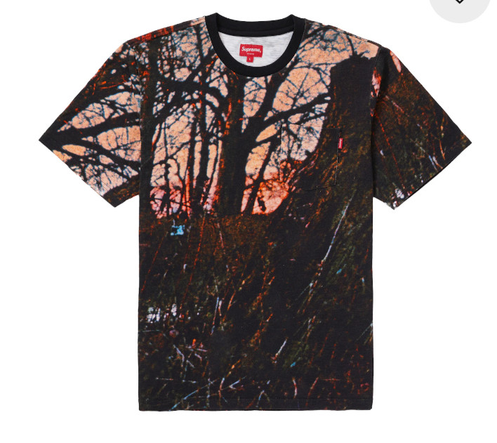 Brand New! Supreme F/W 20 S/S Pocket Tee (Woods) Large