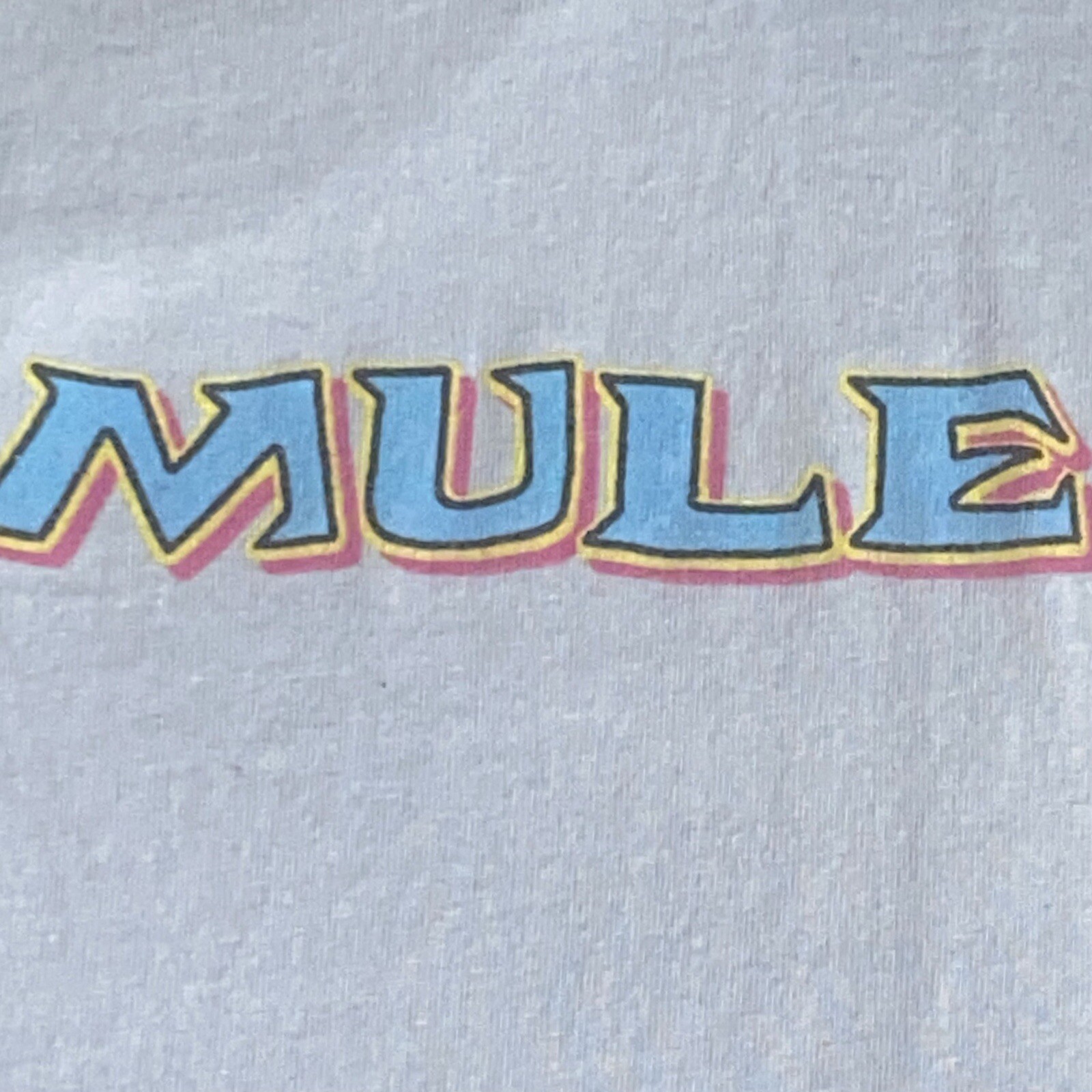 GOV’T MULE Beetle Licensed Southern Blues Rock T-Shirt 2023. SMALL (NV) Preowned gallery