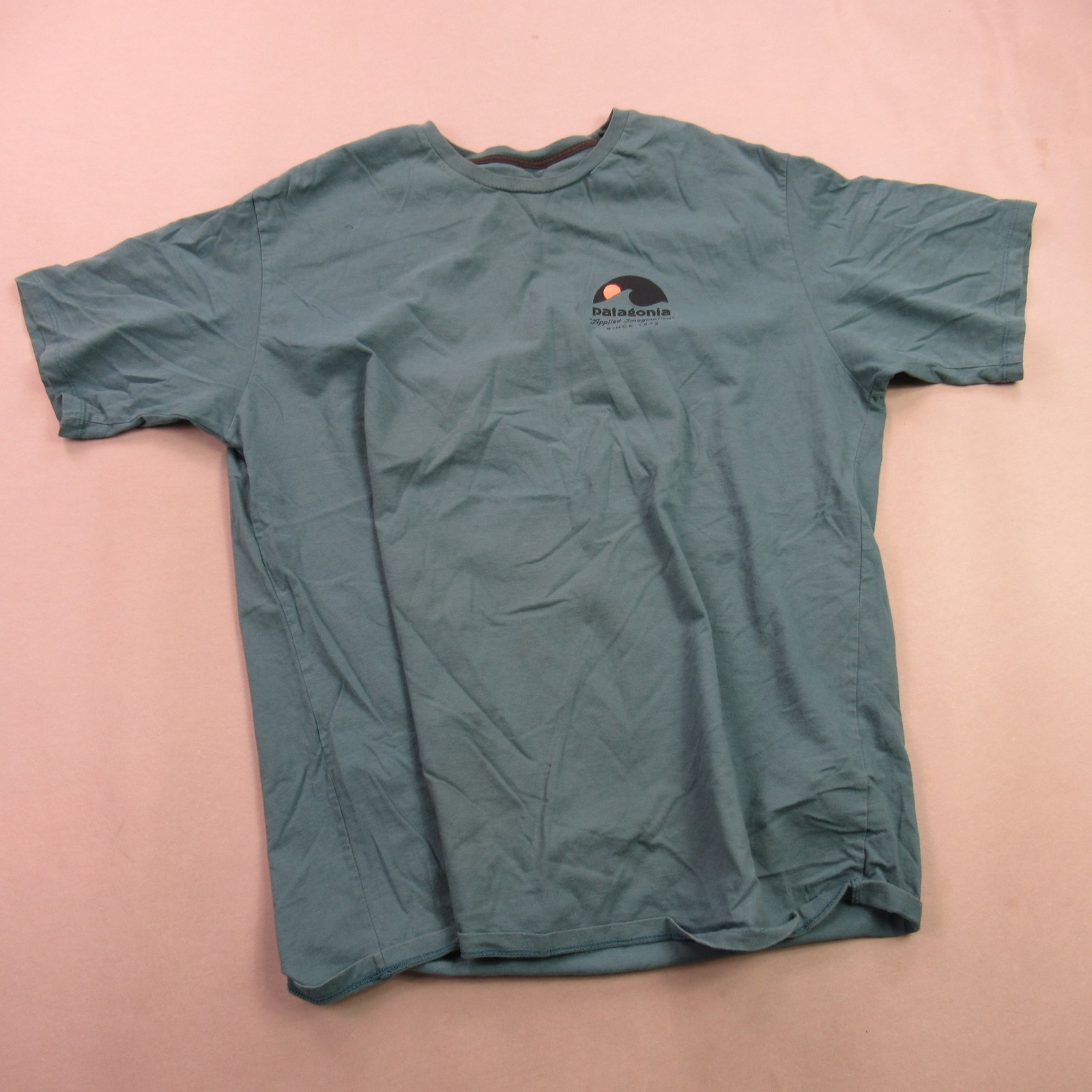 Patagonia Men's Teal Graphic T-Shirt Organic Cotton "Applied Imagination" Size L gallery