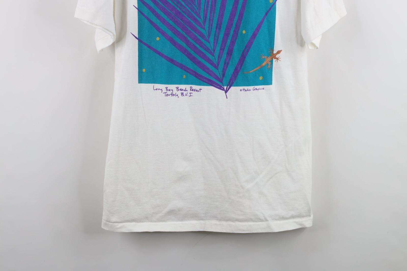 Vtg 90s Streetwear Mens Medium Long Bay Beach Virgin Islands Lizard T-Shirt USA gallery