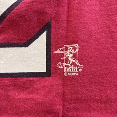Arizona Diamondbacks Eric Byrnes #22 Shirt Jersey Medium 19×26 (WxL)