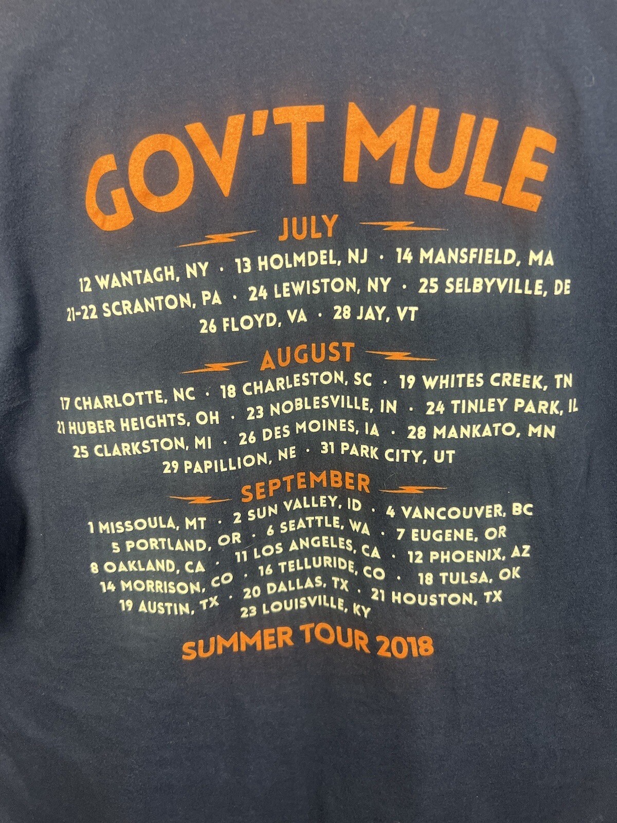 Government Mule 2018 Band Music Tour Shirt Blue T Shirt Size Large Canvas Tags gallery
