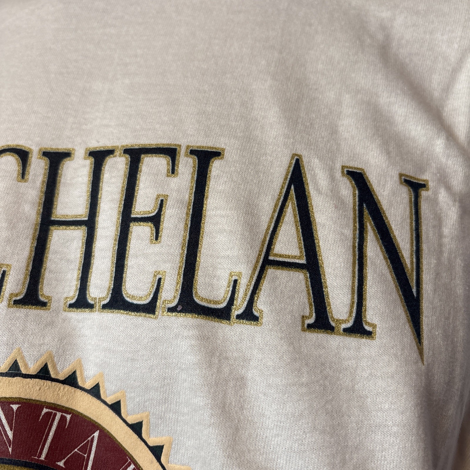 NWT Vintage 90’s Lake Chelan Robert Allan Sportswear Mountain Paradise Shirt L gallery