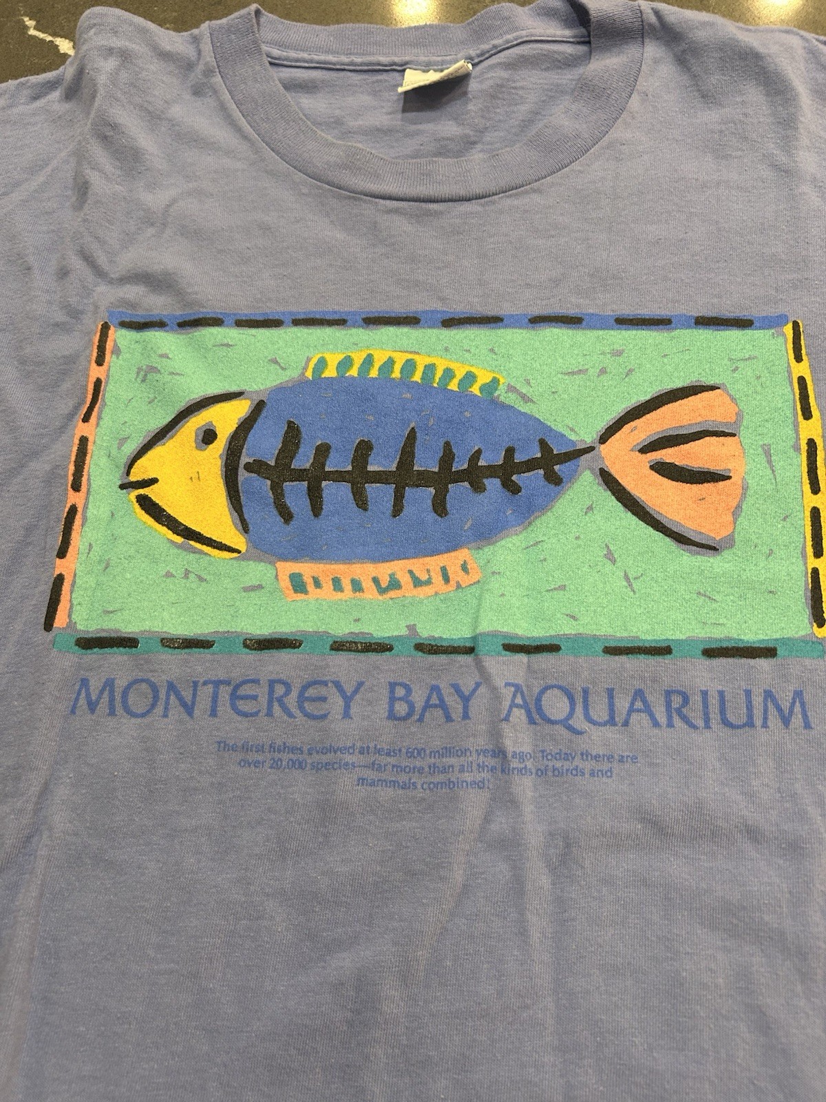 Vtg Monterey Bay Aquarium Tropical Fish T-shirt Blue Large Retro Tee Sea Life gallery