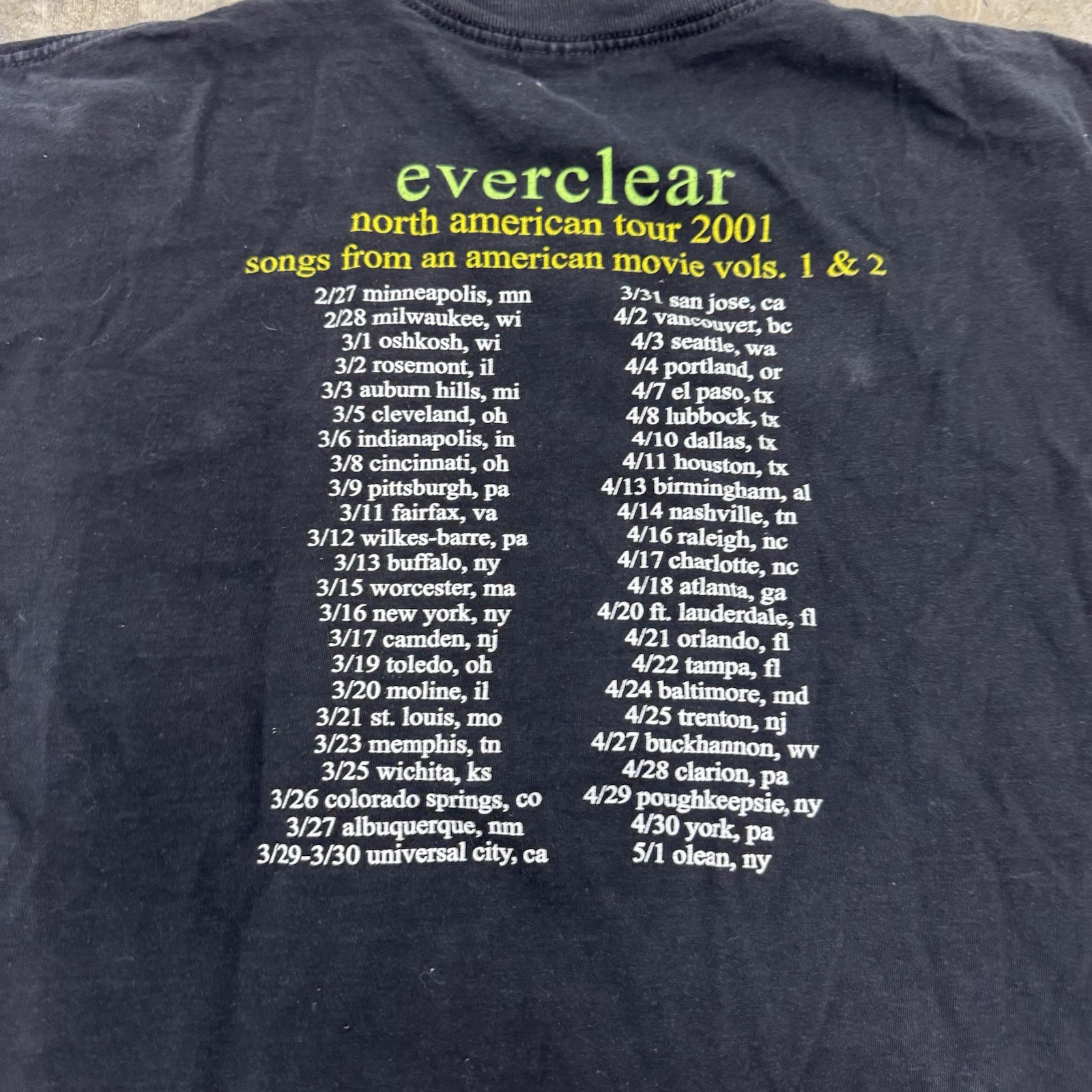 Delta Everclear North American Tour 2001 Double-Sided Black Tee XL gallery